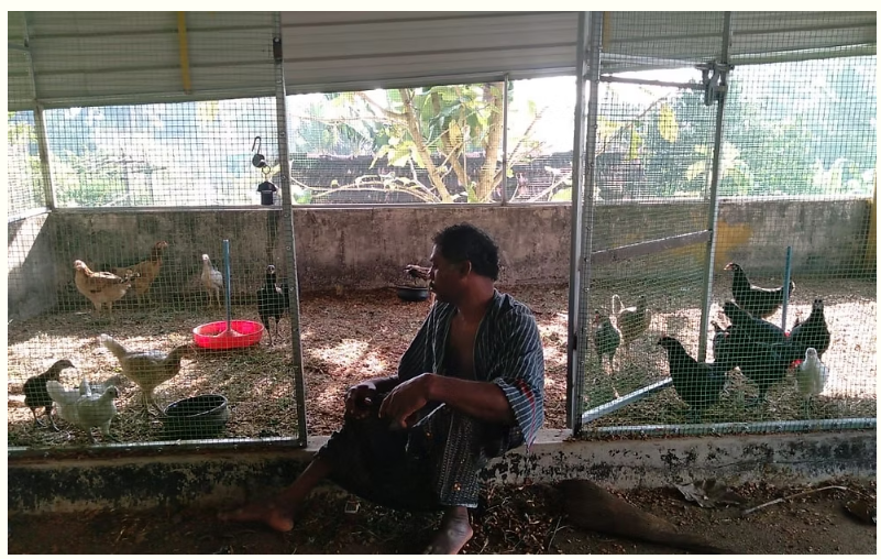 Chicken Farm